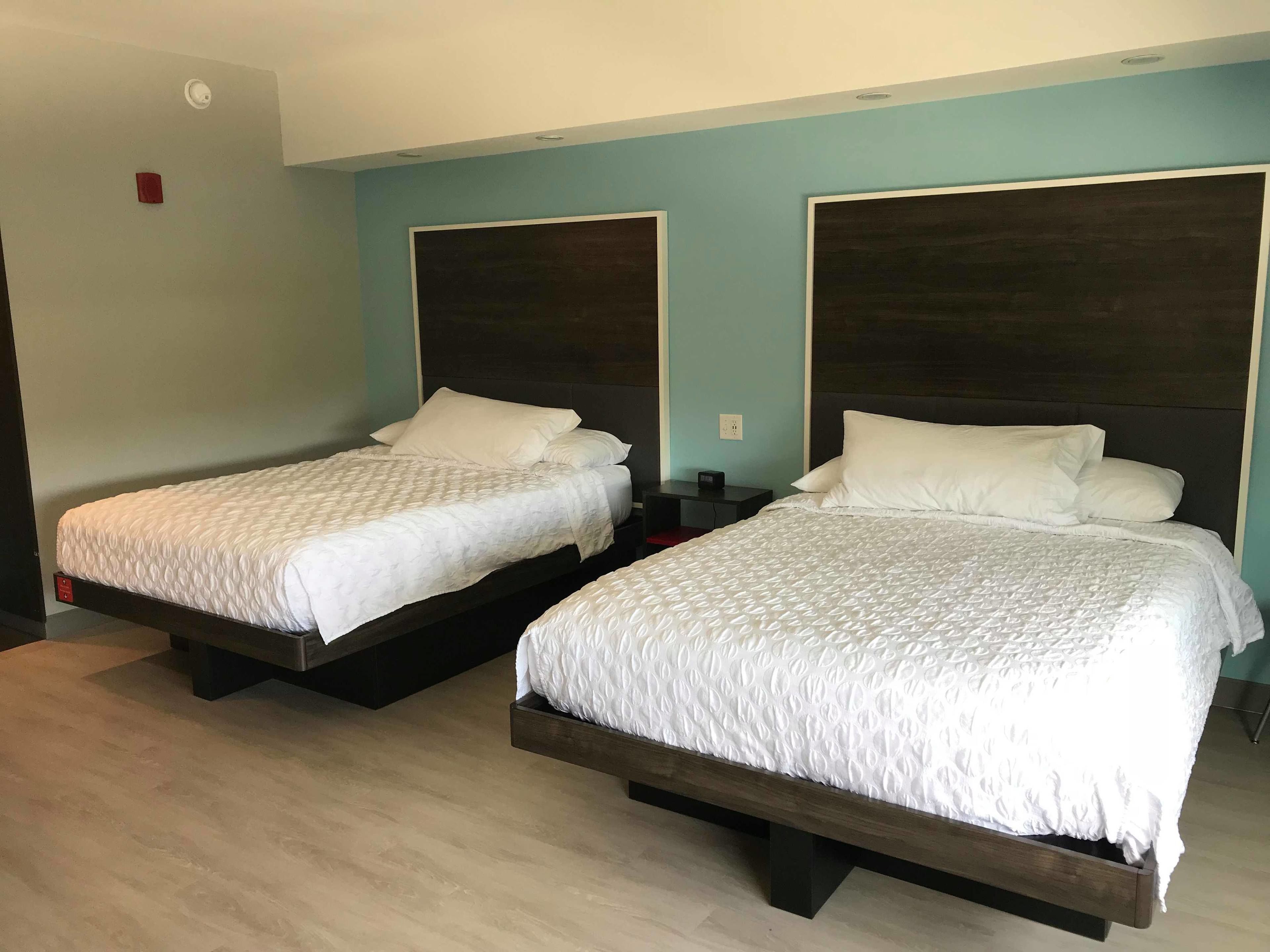 Habitación, 2 camas de matrimonio, accesible para personas con discapacidad, bañera | Escritorio, tabla de planchar con plancha, cunas gratuitas y wifi gratis