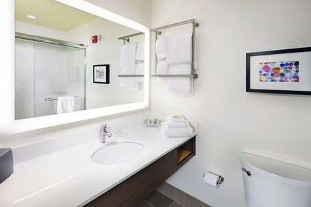 Holiday Inn Suites Arden Asheville Airport - Image 34
