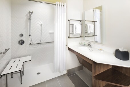 Holiday Inn Suites Arden Asheville Airport - Image 12