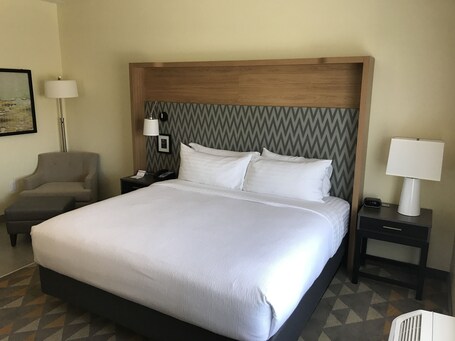 Holiday Inn Suites Arden Asheville Airport - Image 32
