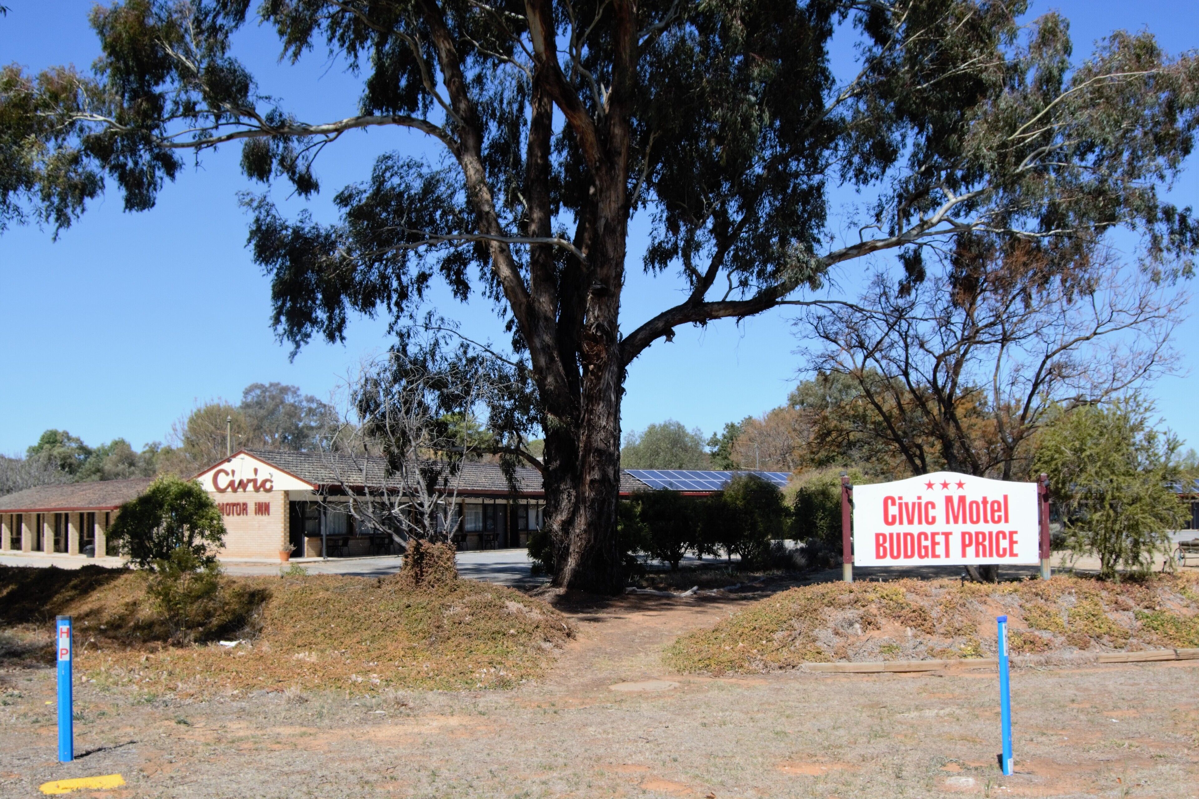 A motel with a large tree in front, a sign indicating 'Civic Motel Budget Price', and a building with a sign that reads 'Civic Motor Inn'.