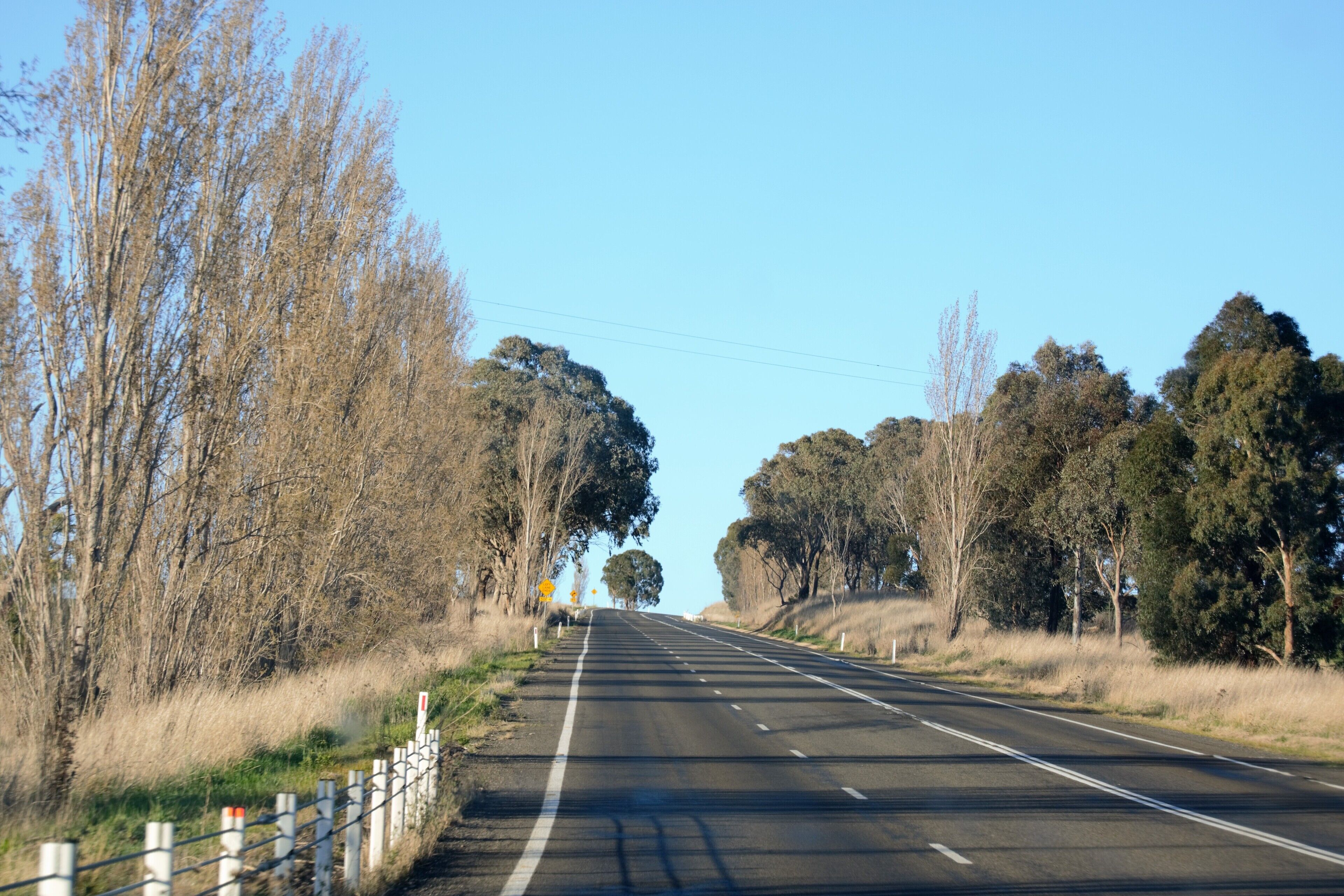 A straight road flanked by trees and a white fence.