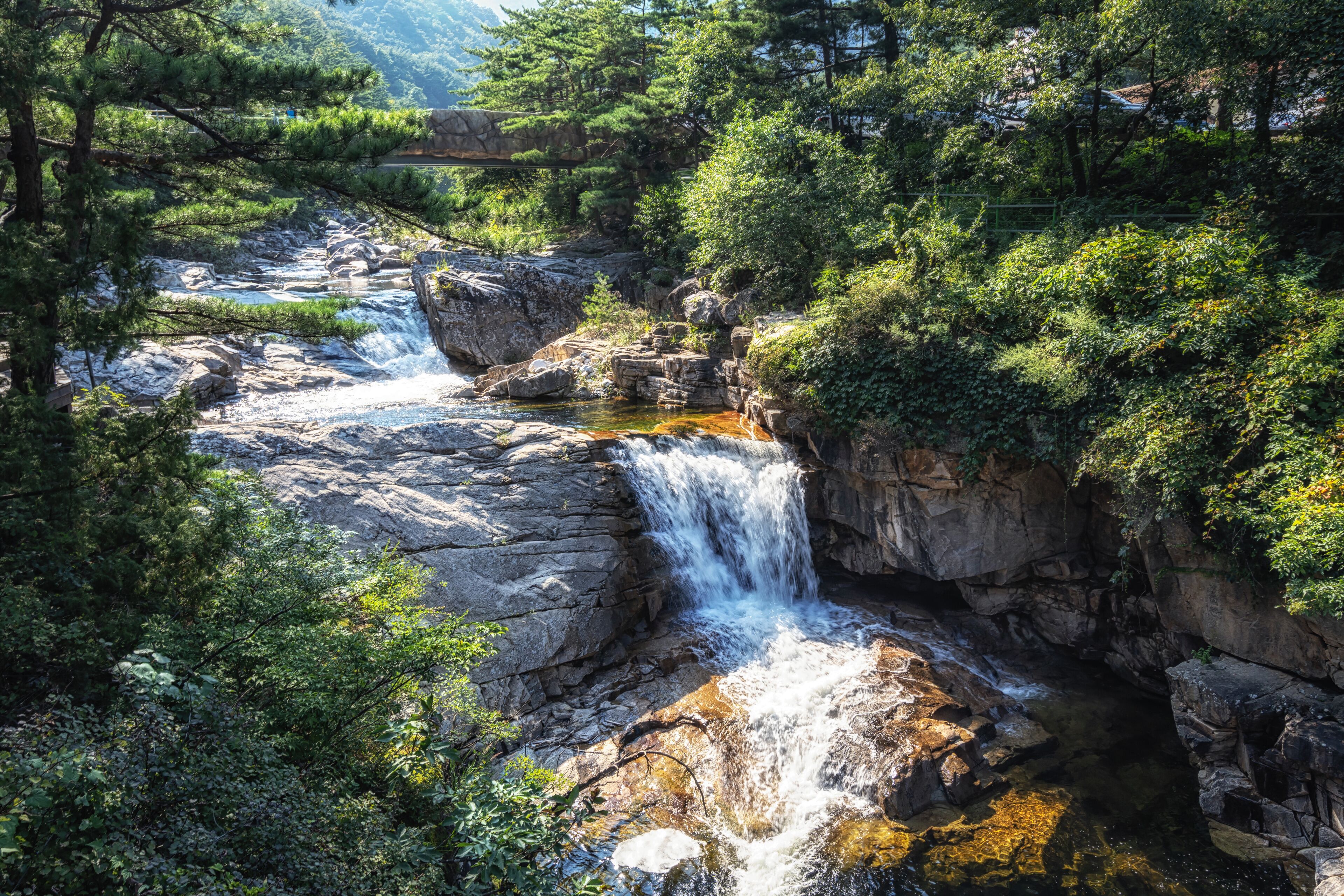 Una cascada se precipita sobre terreno rocoso rodeado de vegetación exuberante.