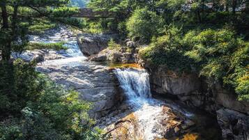Una cascada se precipita sobre terreno rocoso rodeado de vegetación exuberante.
