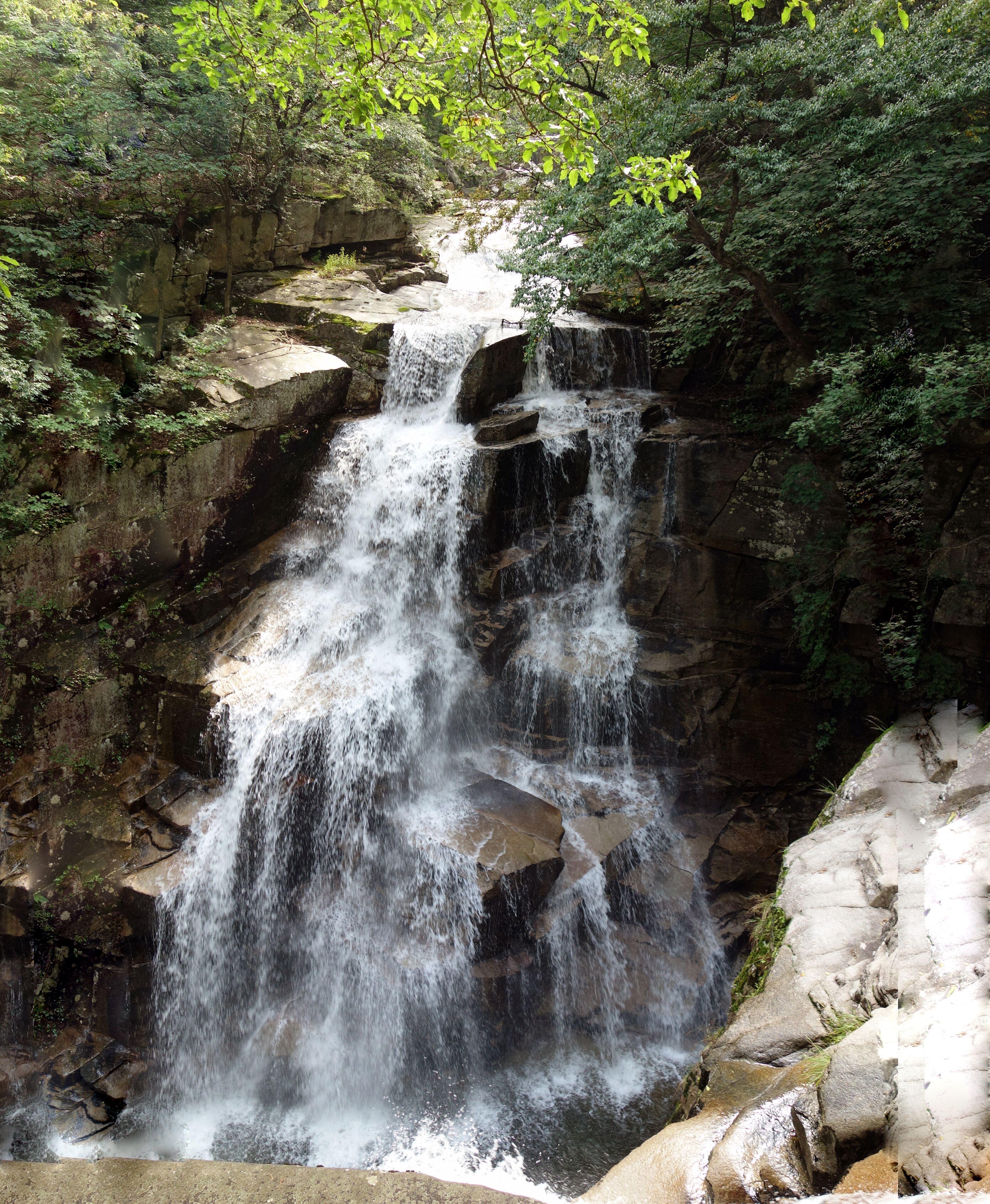 Una cascada se precipita sobre terreno rocoso, rodeada de vegetación densa.