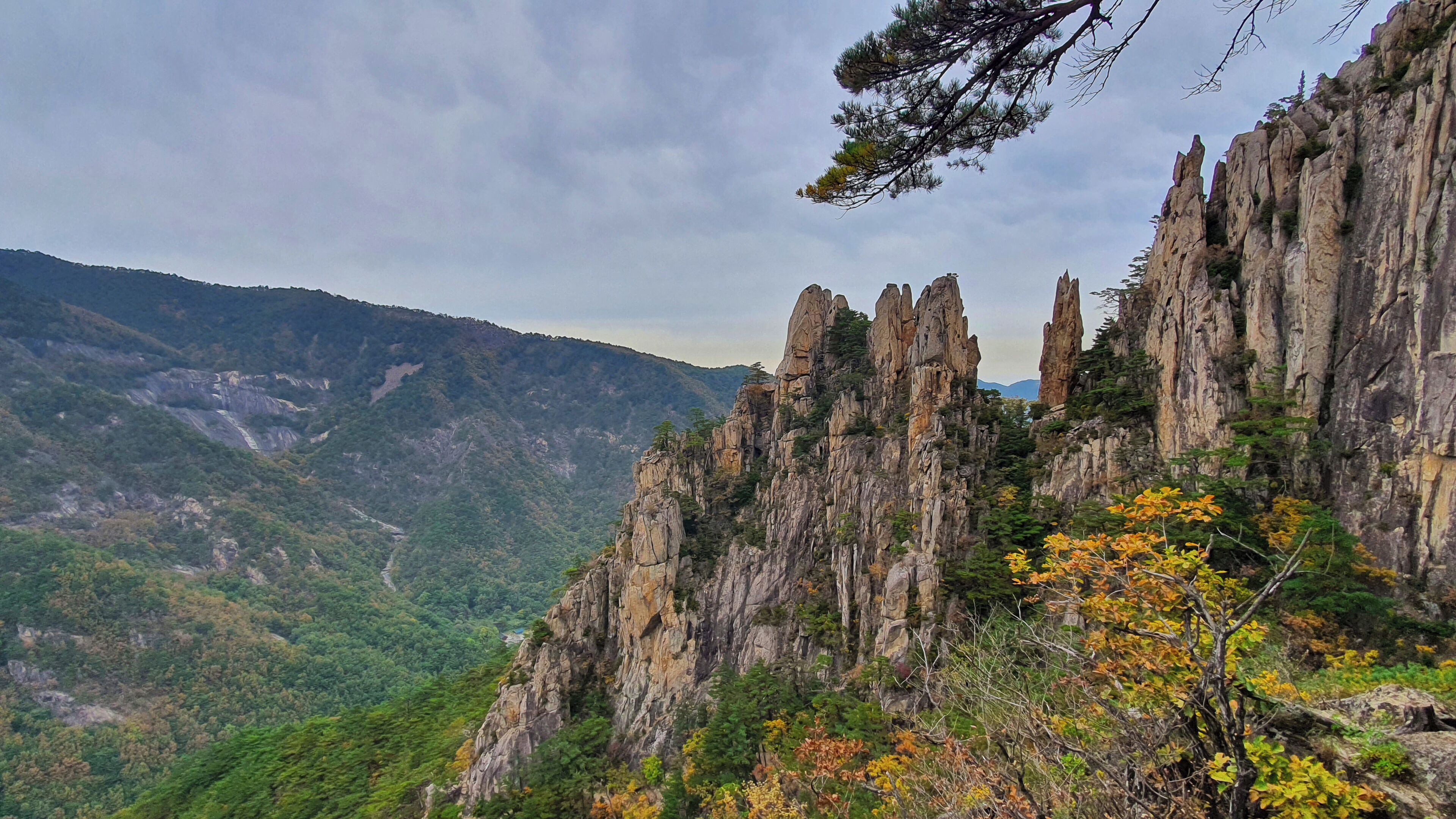 A mountainous landscape with rocky cliffs and dense forest.
