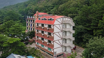 外觀