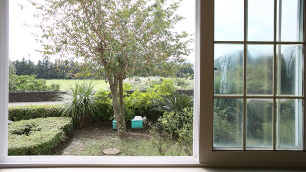 A view through a window of a garden with a tree, various plants, and a stone wall. - Blaze Resort Jeju (Seogwipo)