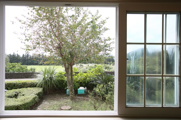 Uitzicht vanuit de kamer