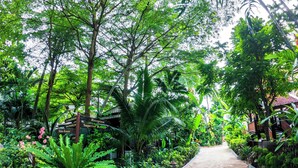 A pathway flanked by lush greenery and a traditional building with a sign indicating 'Reception' and 'Superior Rooms'. - J4 Hotel Samui (Koh Samui)