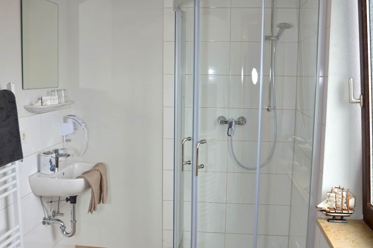 shower, free toiletries, hair dryer, towels