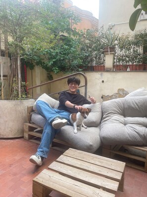 Terrace/patio - Il Plancton (Rome)
