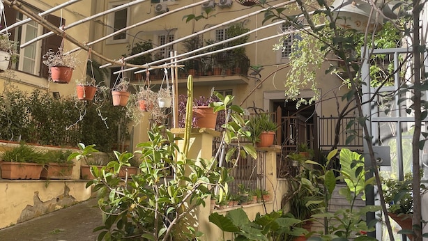 A courtyard with potted plants, a wooden bench, and a climbing plant structure. - Il Plancton (Rome)