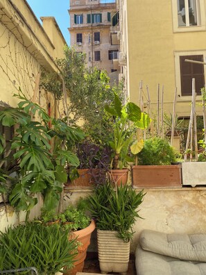 Terrace/patio - Il Plancton (Rome)