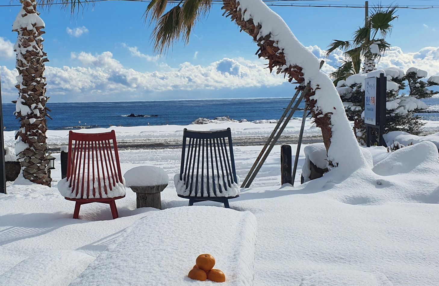 Deux chaises de plage et une petite table recouverts de neige, avec un palmier et un panneau en arrière-plan.