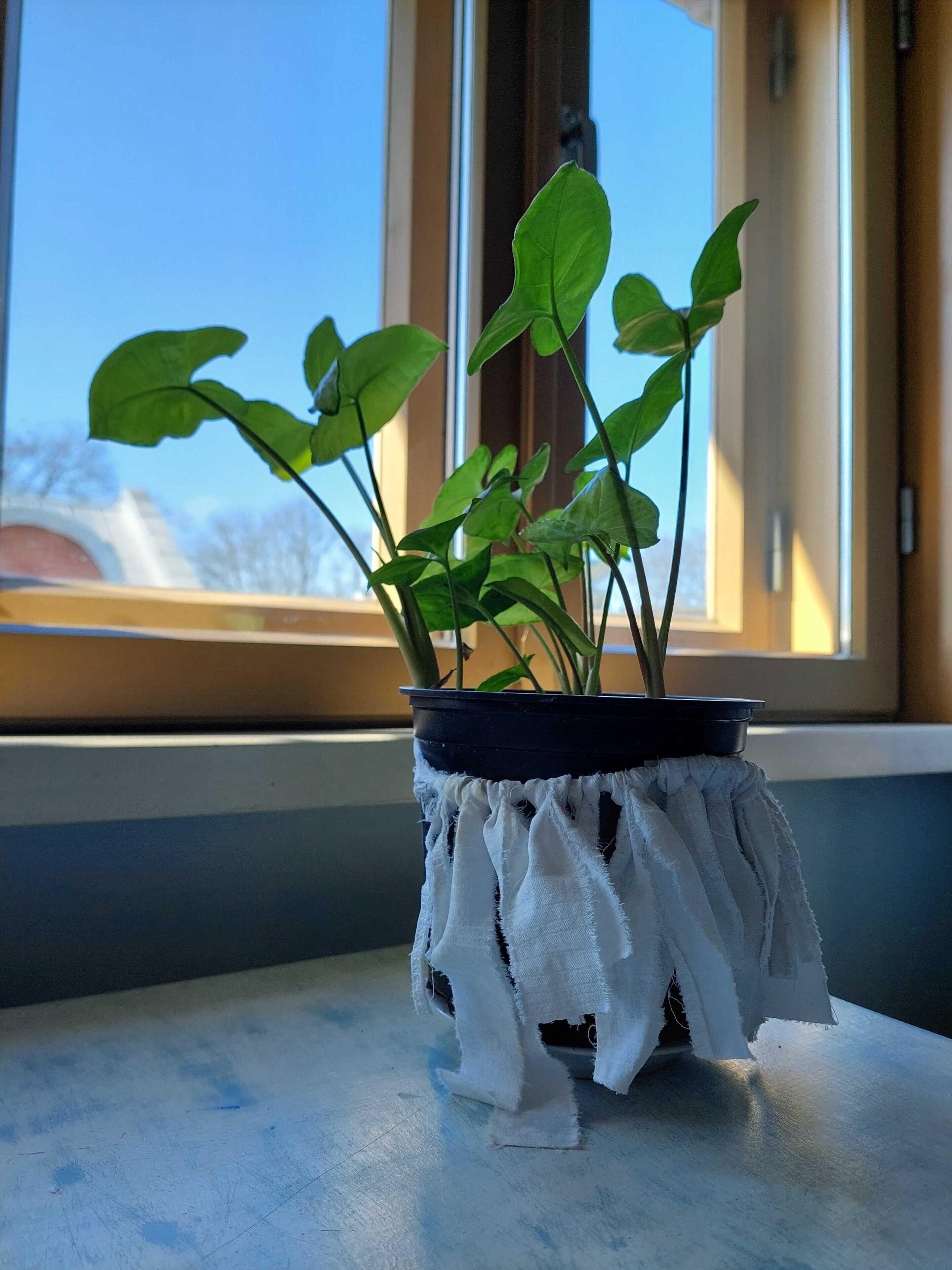 Escritorio, tabla de planchar con plancha, wifi gratis y ropa de cama 