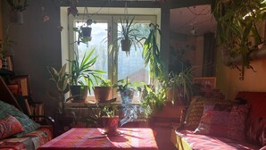 A cozy living room with a sofa, a table, and various potted plants. - Looming Hostel (Tartu)