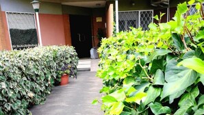A pathway flanked by lush green plants leading to a building entrance. - B&B Jonio Roma (Rome)