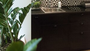 Une cuisine moderne avec un dosseret à motifs noir et blanc, un évier et une plante en pot.