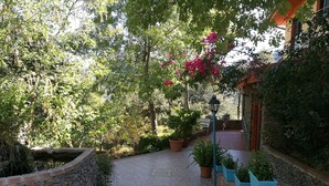 A paved pathway leading to a stone wall, surrounded by lush greenery and potted plants. - Hotel Sant'Elene (Dorgali)