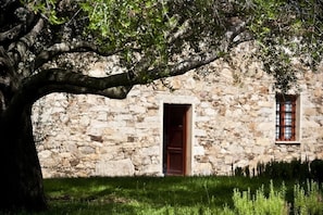Property grounds - Residence Miriacheddu (San Teodoro)