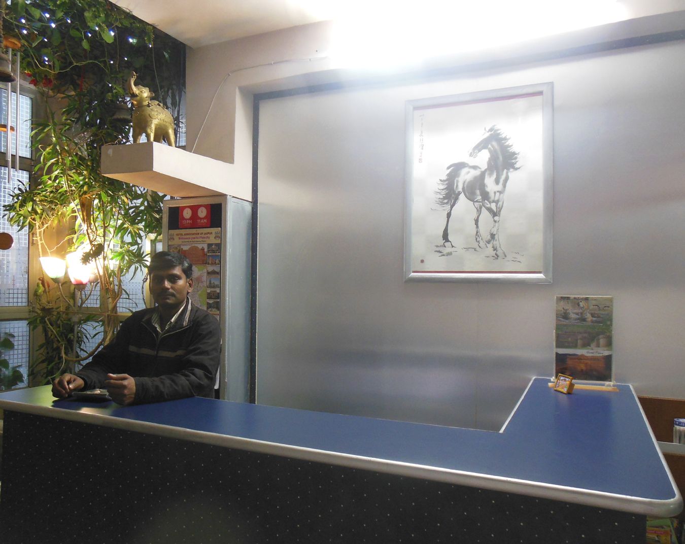 A reception desk with a blue surface, a framed horse painting on the wall, and a hanging plant with lights.