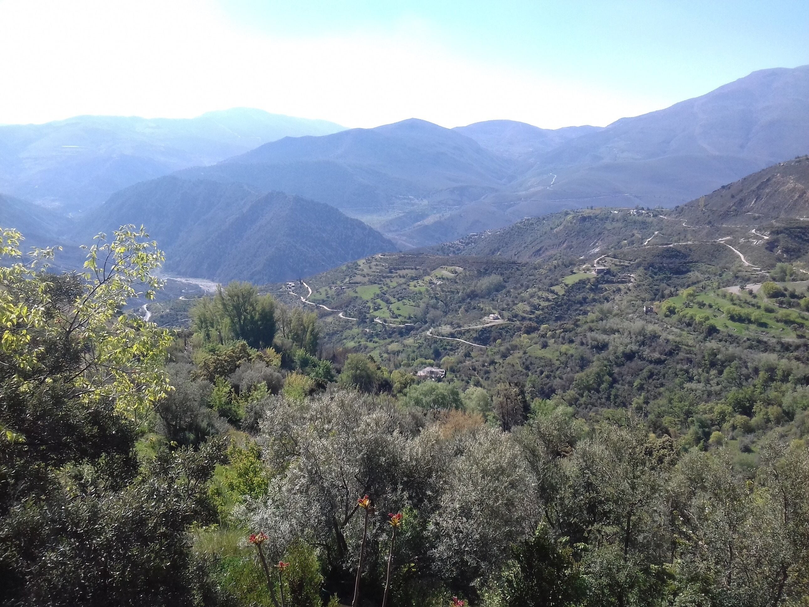 Apartment, Private Bathroom (de 1 dormitorio) | View from property