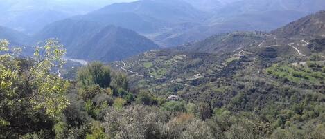 Apartment, Private Bathroom (de 1 dormitorio) | View from property