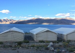 Three tents set up on a rocky shore with a large body of water and mountains in the background.
