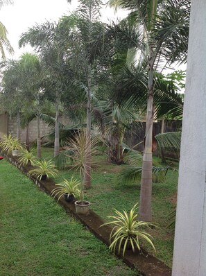 Property grounds - The villa sunshine (Divulapitiya)