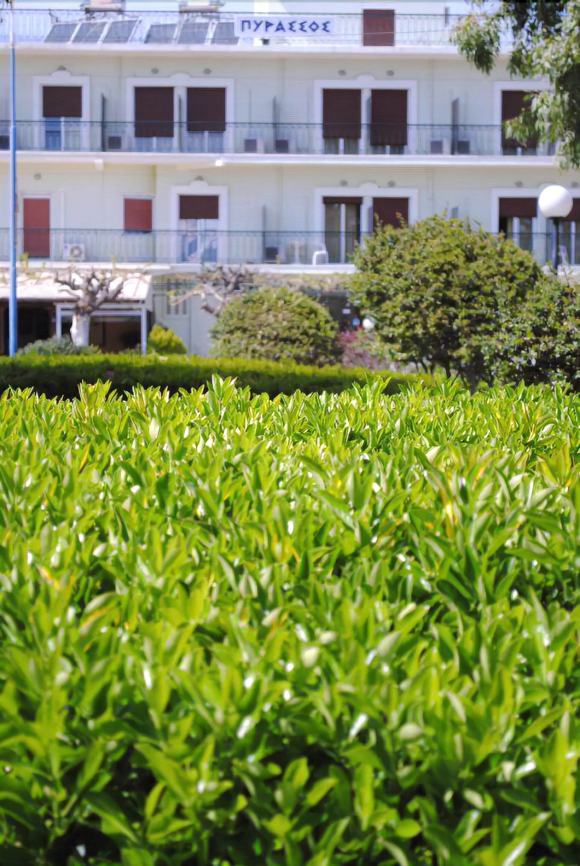 Overnattingsstedets uteområder