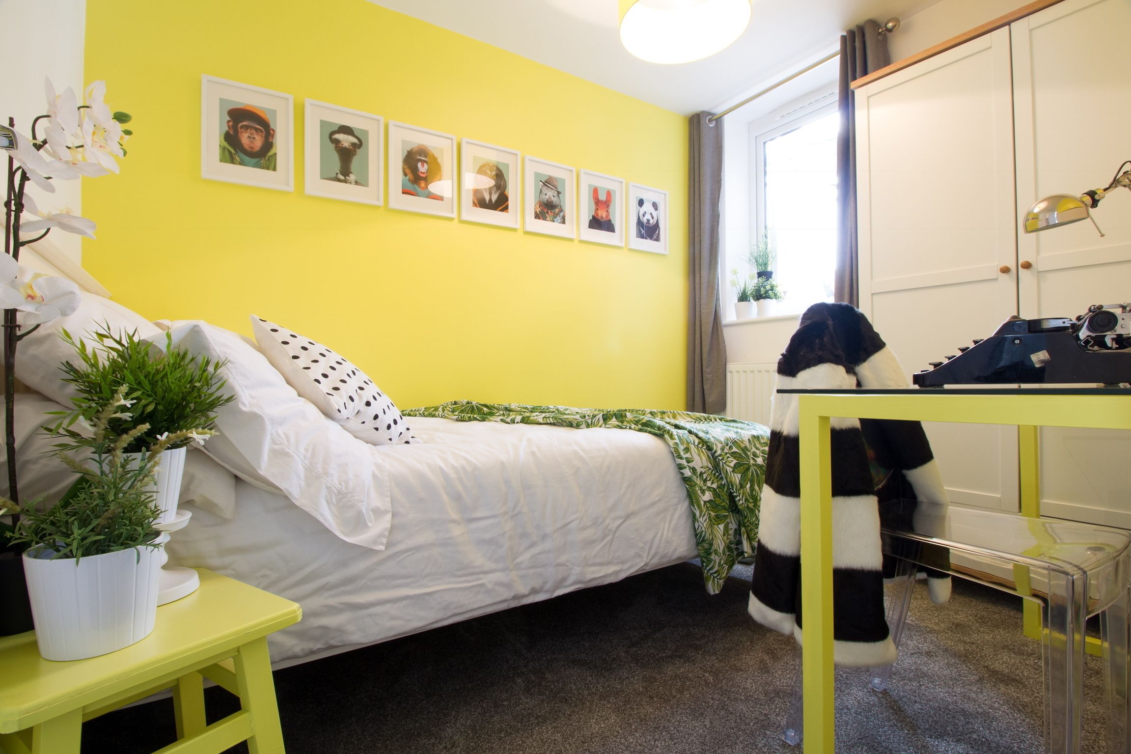 A room with a bed, a small table, a potted plant, and a window with curtains.