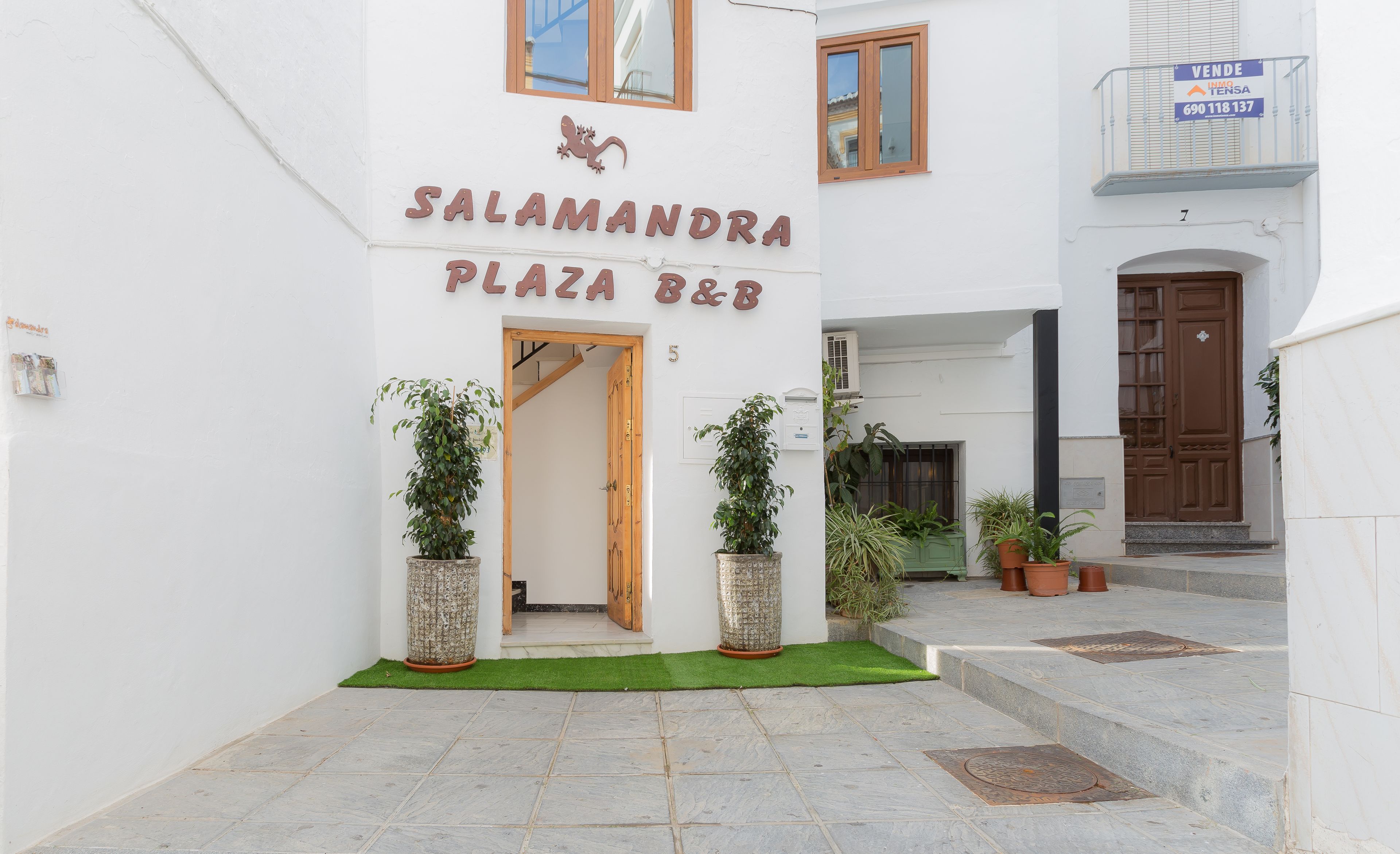 Foto - Salamandra Plaza