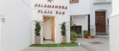 A white building with the sign "SALAMANDRA PLAZA B&B" and a contact number. There are potted plants and a small grassy area in front.