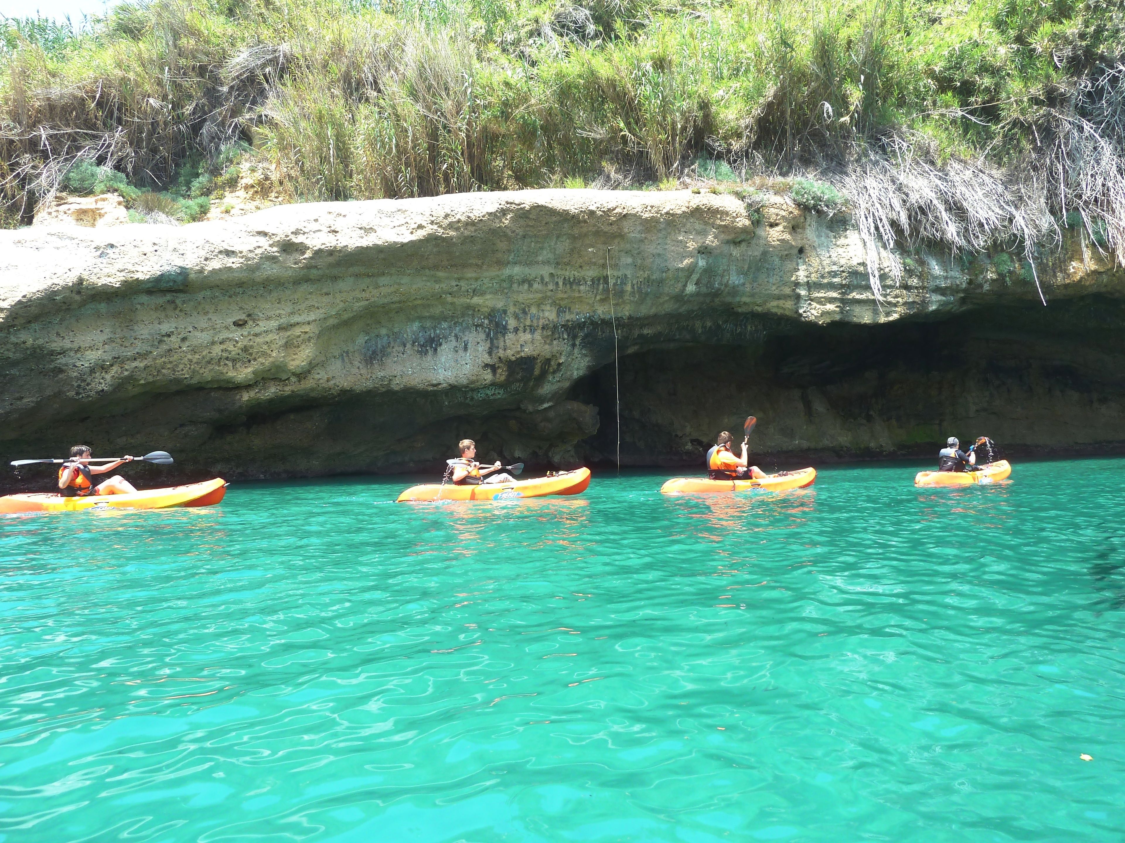 Foto - Salamandra Plaza