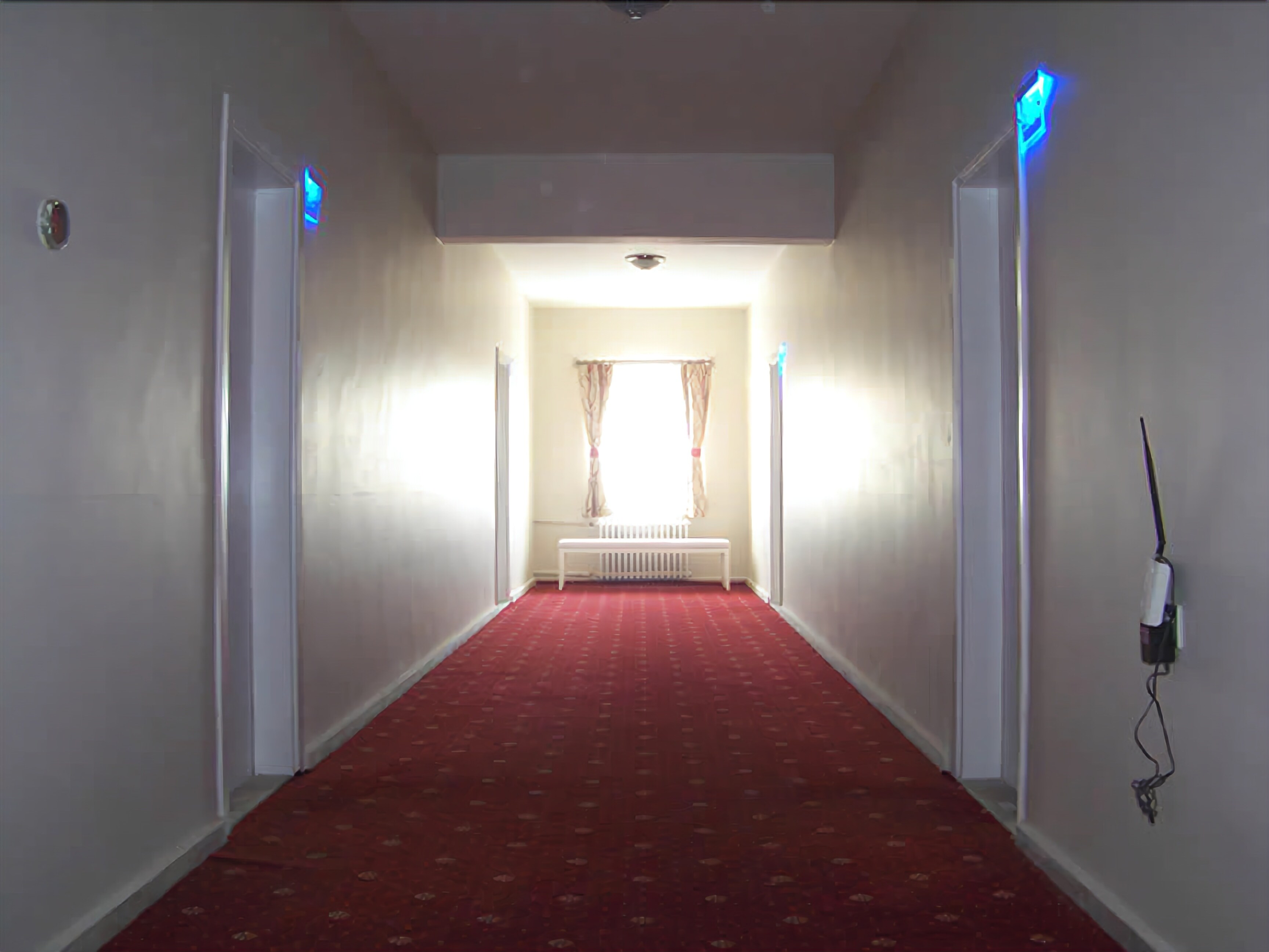 Un pasillo con alfombra roja que conduce a una habitación con radiador y cortinas.