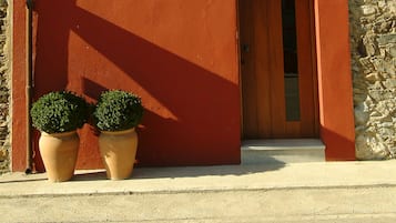 Detalle del exterior
