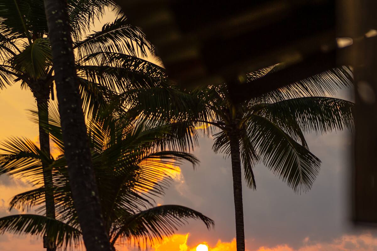 A beach scene with a sunset, palm trees, and a wooden structure with a thatched roof.
