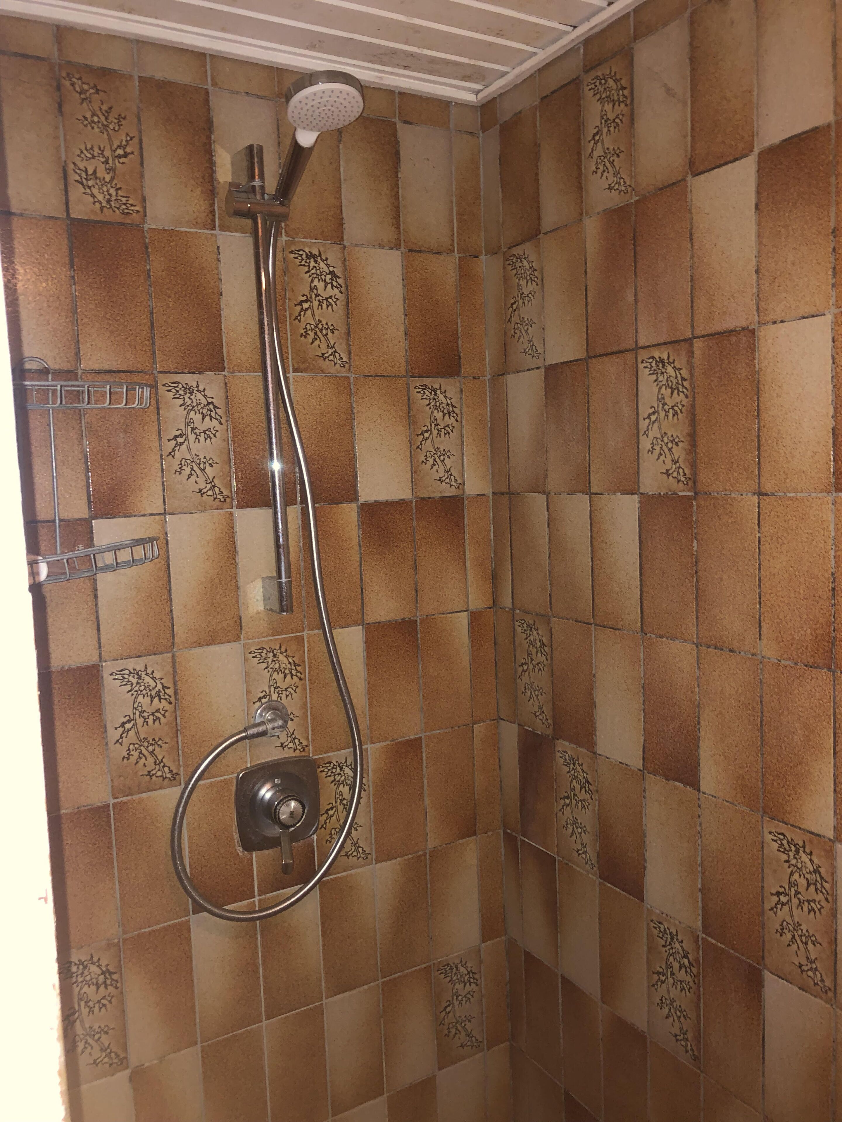 A shower with a handheld showerhead and a wall-mounted faucet.