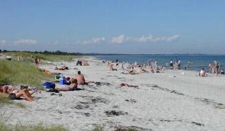 Beach shuttle