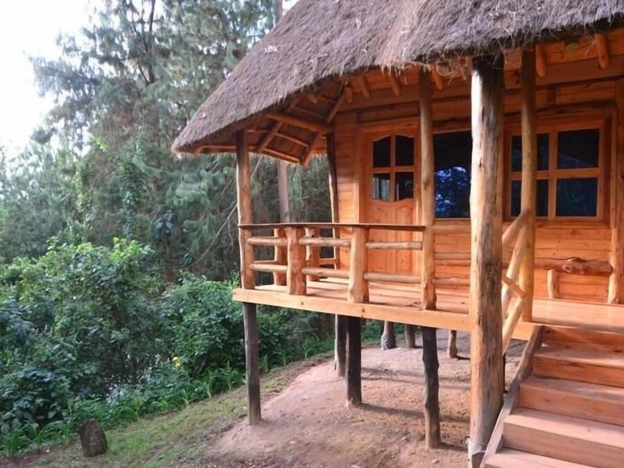 A wooden cabin with a thatched roof, a balcony, and a staircase leading to the entrance.