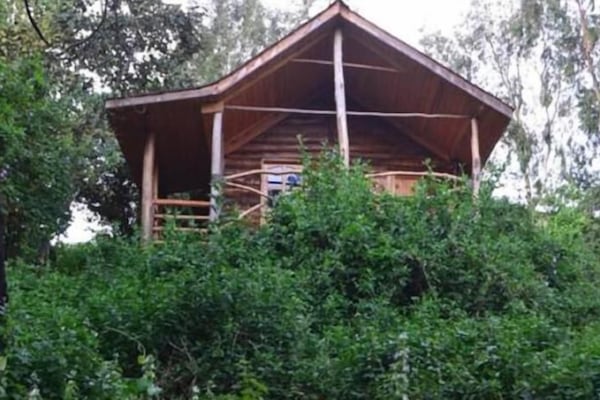 Standard Cottage, Lake View
