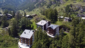 A mountainous area with several buildings surrounded by trees and greenery. - EVA Apartments (Zermatt)