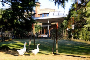 Exterior