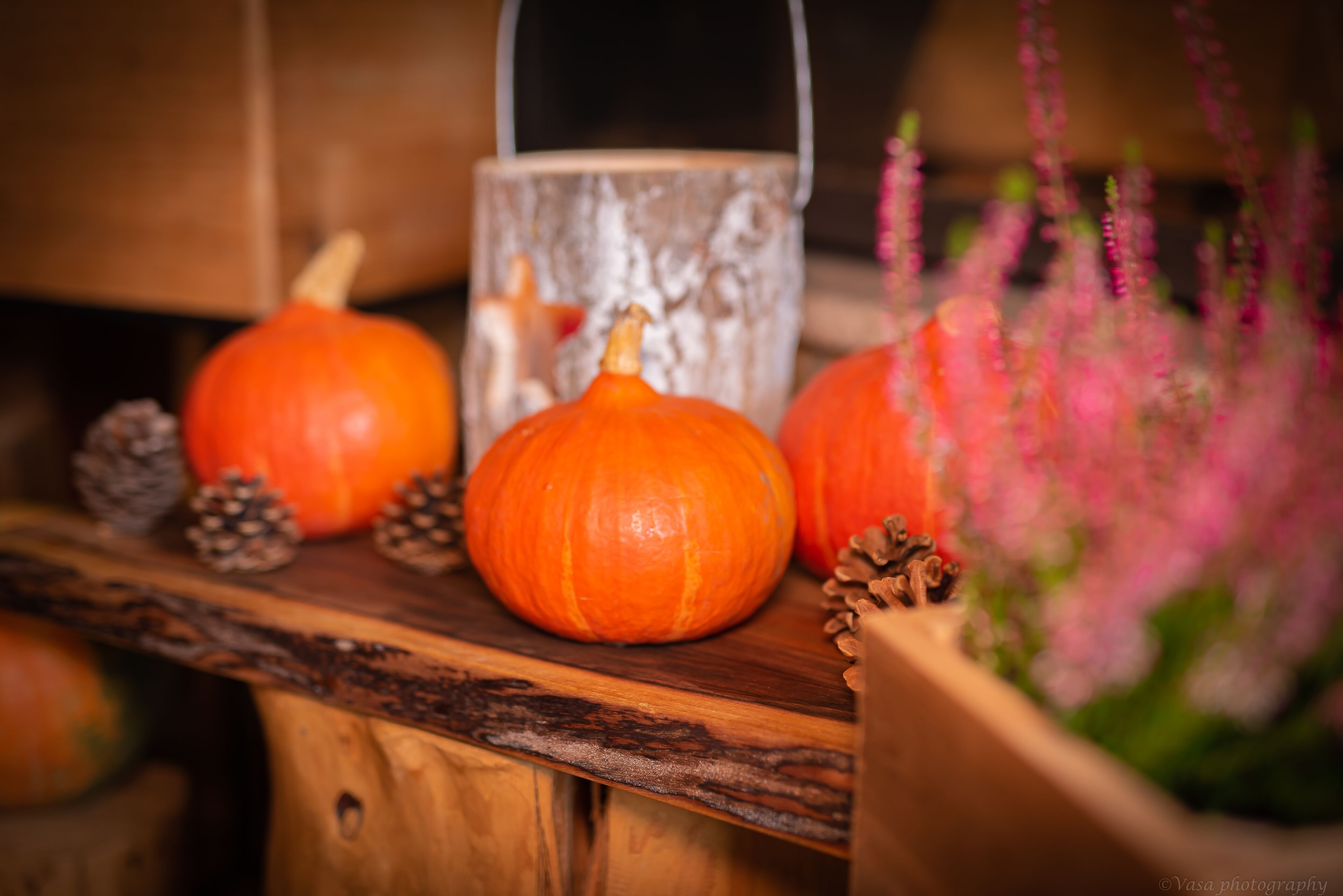A rustic wooden table with pumpkins, pine cones, and a candle.