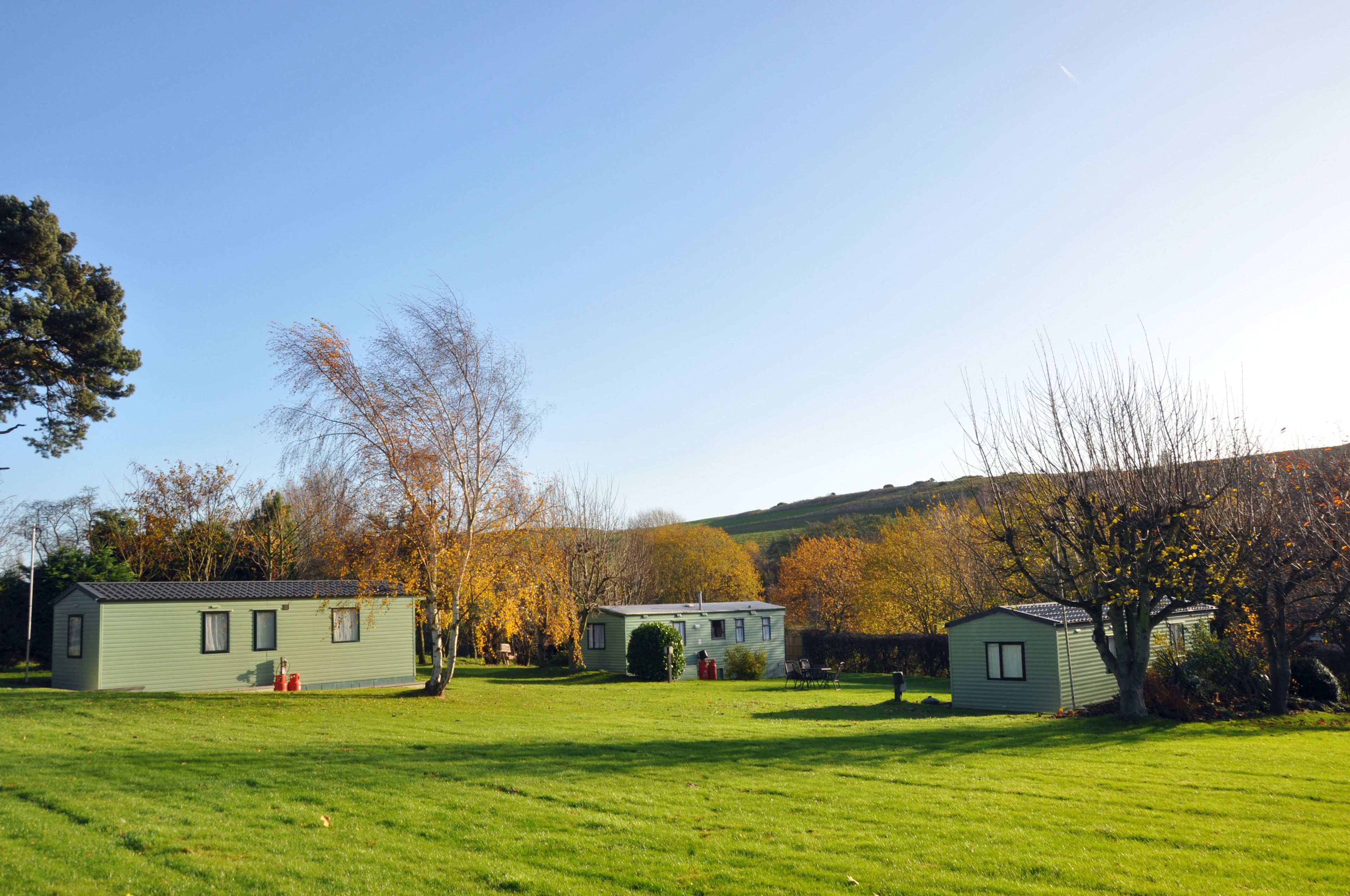 A row of small, light green mobile homes with a grassy field and trees in the background.