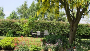 A garden with a large tree, various plants, and outdoor furniture.