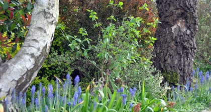 Bridleways Guest House & Holiday Homes
