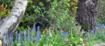 Bridleways Guest House & Holiday Homes