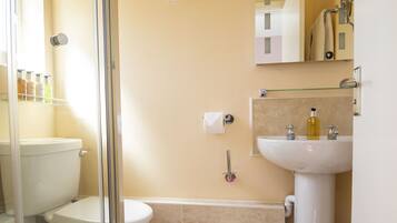 A bathroom with a toilet, sink, and shower.
